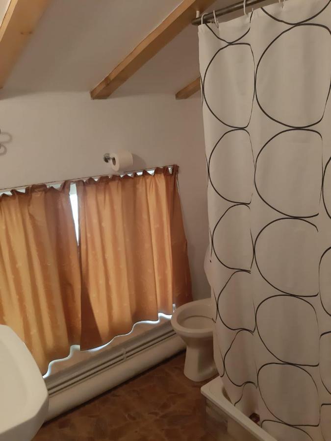ホテル House クラヨーヴァ エクステリア 写真